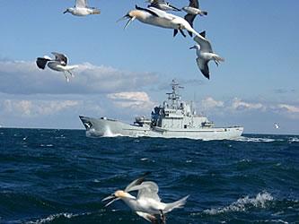 hms_fish.jpg