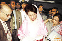pic1.jpg
